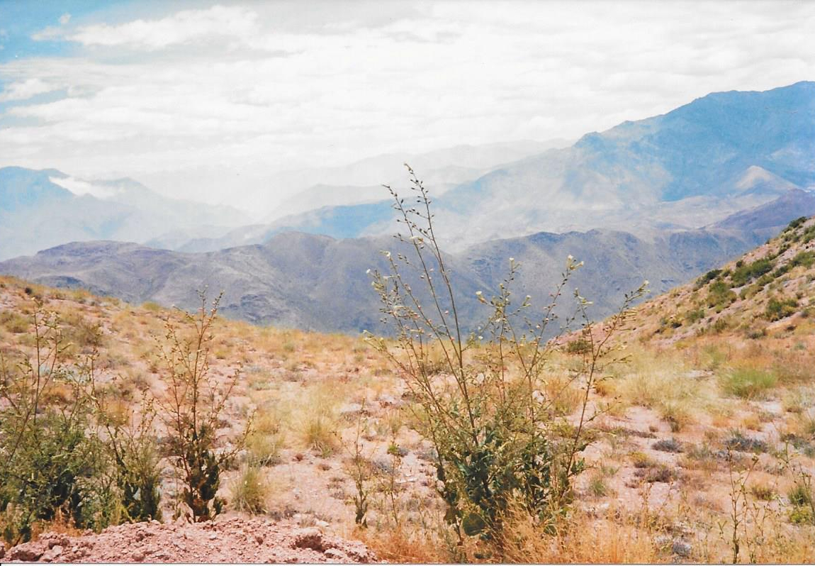 This image has an empty alt attribute; its file name is desert-hills-5-e1624098318631.jpg