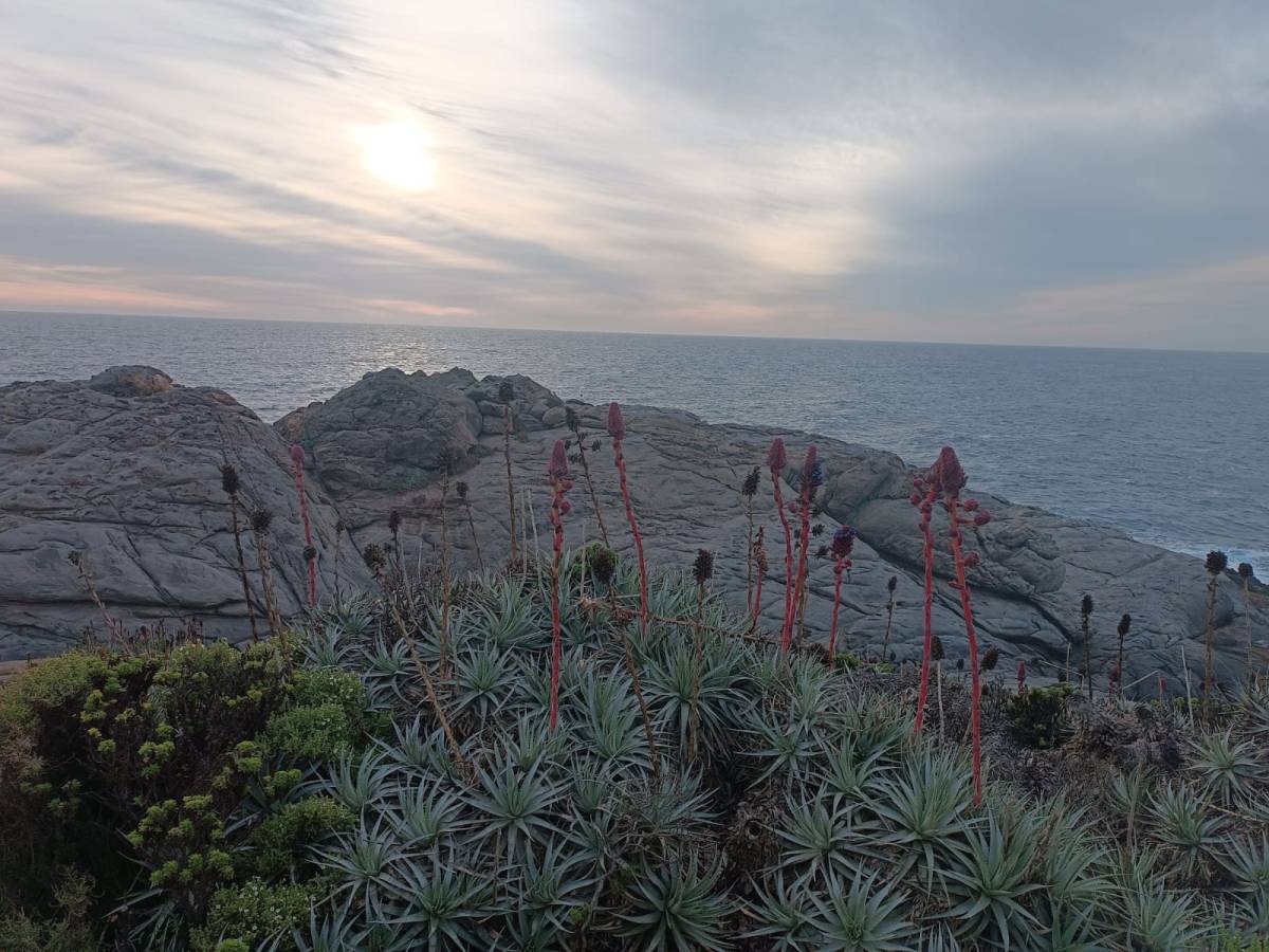 #5 Passover and&nbsp;Census