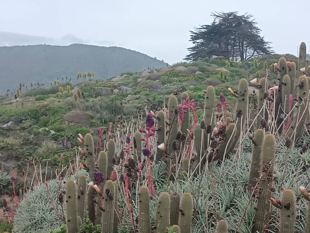 #6 Flocks in Fields at&nbsp;Night