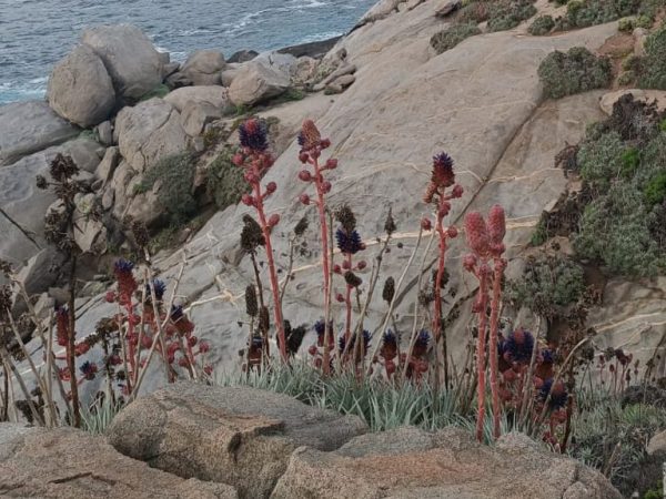 #12 Chronology and&nbsp;Conclusion