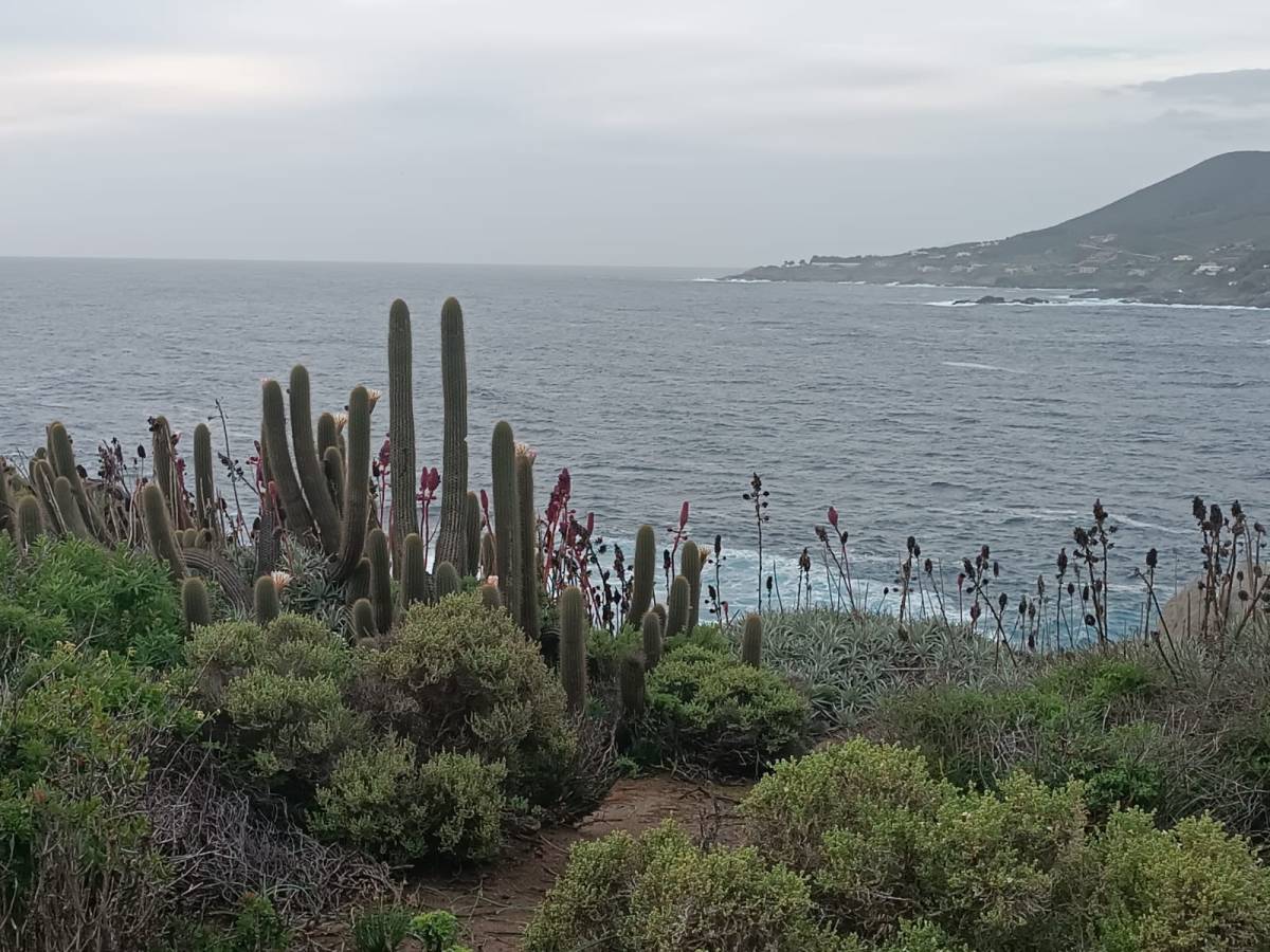 #1 Jesus the Passover&nbsp;Lamb