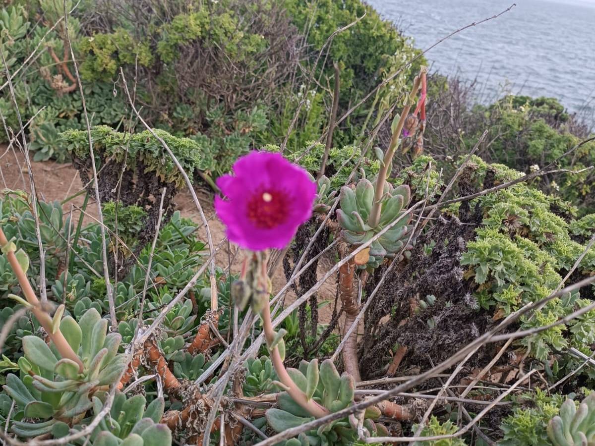 #11 Slaughter of the&nbsp;Innocents