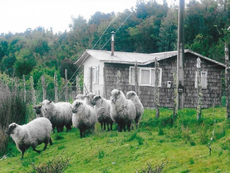 Jesus the Passover Lamb&nbsp;Video